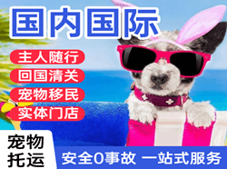 铜仁凤凰机场快递国际宠物托运 【国